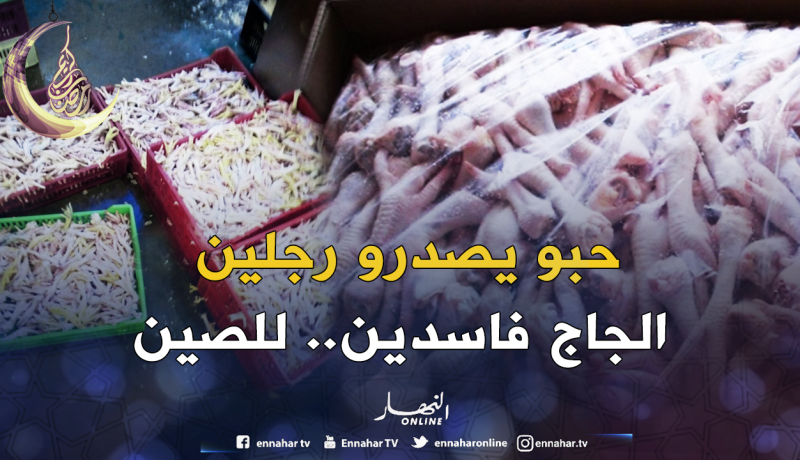قالمة.. حجز 40 طنا من أرجل الدجاج الفاسد موجهة للتصدير