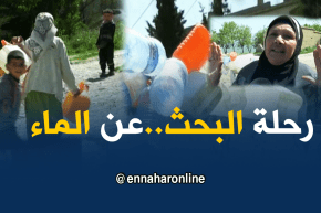 تيارت: جمع “البصيلة”..مصدر قوت الكثرين