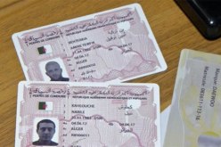 رخصة السياقة البيومترية في نهاية جانفي ونظام الرخصة بالتنقيط ابتداء من جويلية