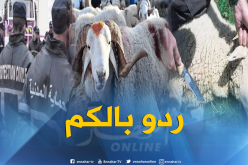 هذه هي تدابير الحماية المدنية للتقليل من الحوادث يوم العيد