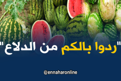 الفايسبوكيون يحذّرون من “الدلاع”