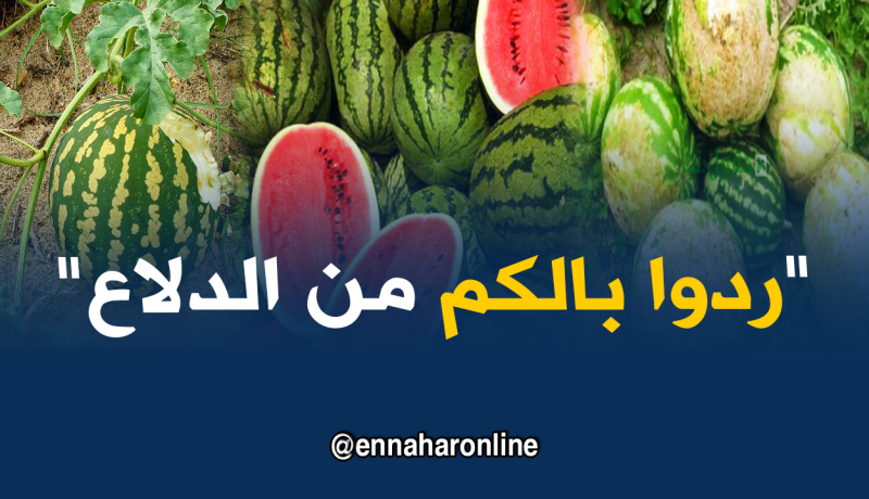 الفايسبوكيون يحذّرون من “الدلاع”