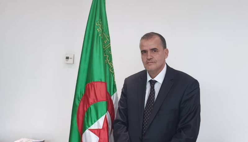 وزير التجارة..لا تقديم لتحفيزات دون مقابل