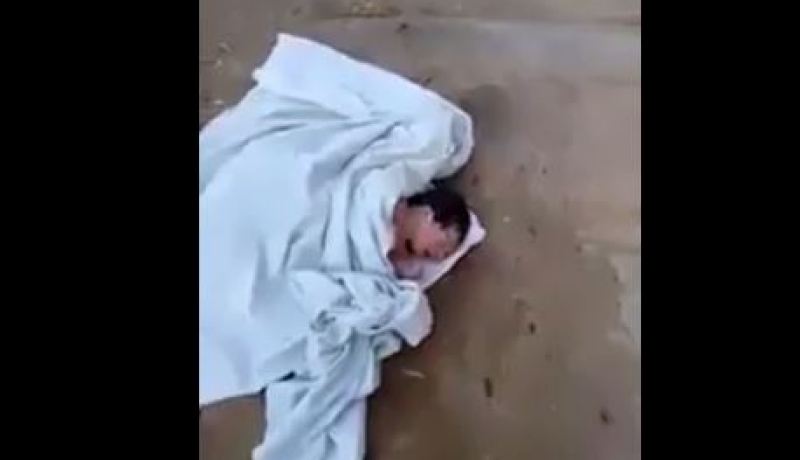 بالفيديو.. العثور على رضيع مشرّد في وهران!