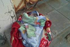 العثور على رضيع حديث الولادة ميتا أمام متوسطة بالطارف