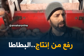 سيدي بلعباس: إنطلاق عملية غرس البطاطا والفلاحون يراهنون على تحقيق الإكتفاء