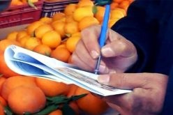 حجز طن ونصف من الغذاء الفاسد وتحصيل قرابة مليار ونصف “بروسي”