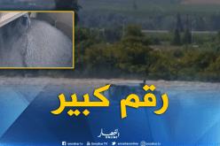 الجزائريون يستهلكون 10 ملايين طن من القمح سنويا