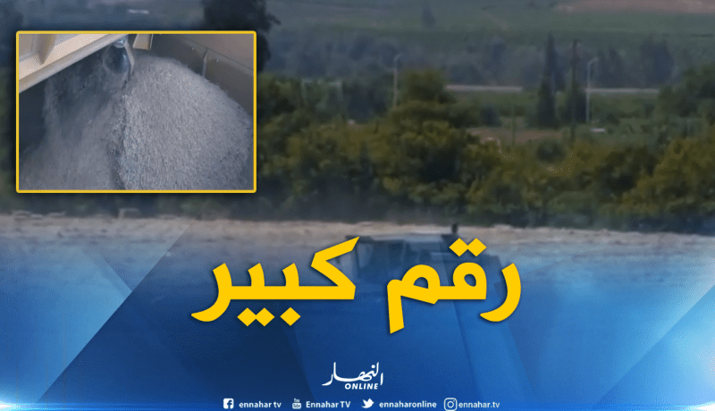 الجزائريون يستهلكون 10 ملايين طن من القمح سنويا