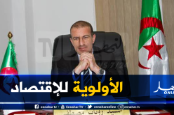 روباين لـ”النهار أونلاين”: “تحفيزات هامة للمستثمرين لإنجاح مخطط التنمية الاقتصادية في ولايات الجنوب”