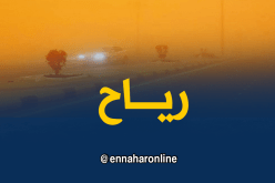 رياح قوية تصل 80 كلم/ساعة بولايات الجنوب