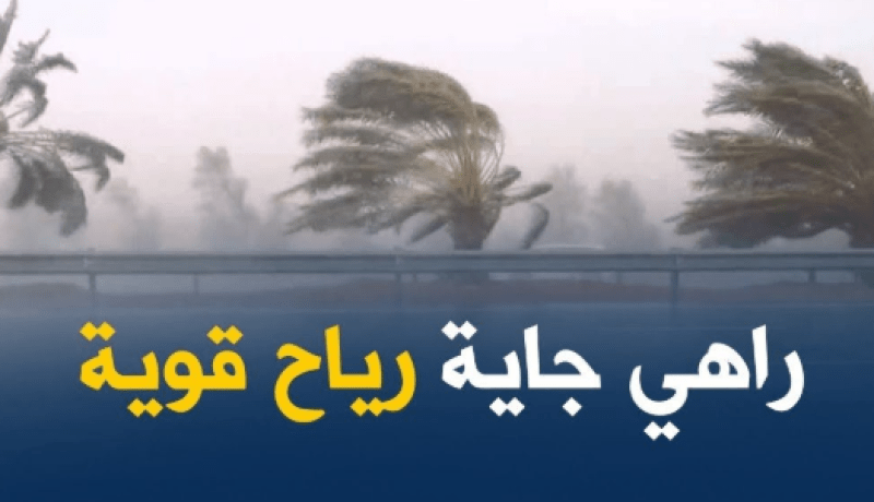 نشرية خاصة: رياح قوية على هذه الولايات