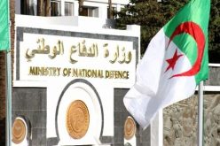 وزارة الدفاع الوطني تكذب تواجد عناصر من الجيش ببلدة “إن خليل” شمال مالي