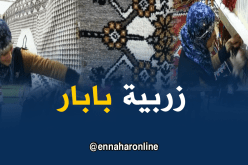 خالتي جميلة تُبدع في حياكة زربية بابار رغم الصعوبات التي تواجهها