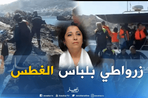 شاهد الوزيرة زرواطي بلباس الغطس خلال المشاركة في حملة تنظيف أعماق البحر