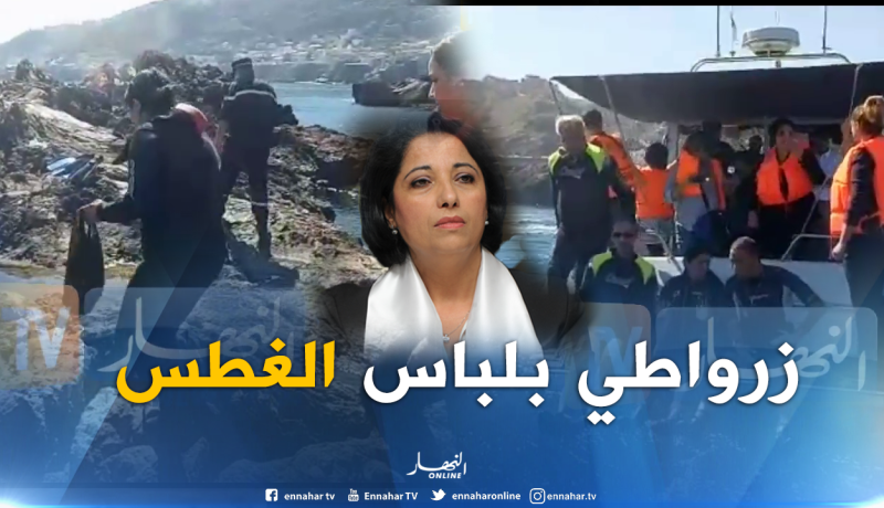 شاهد الوزيرة زرواطي بلباس الغطس خلال المشاركة في حملة تنظيف أعماق البحر