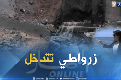 النفايات تغزو شواطىء بوسماعيل.. والوزيرة تتحرك بعد تقرير قناة “النهار”