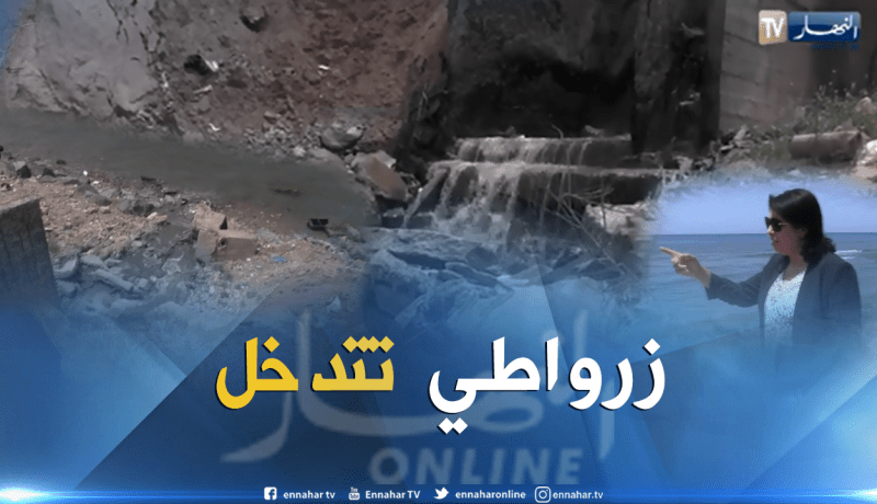 النفايات تغزو شواطىء بوسماعيل.. والوزيرة تتحرك بعد تقرير قناة “النهار”