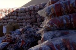 العثور على ورشة سرية لصناعة «زريعة شيواوا» مغشوشة في العلمة بسطيف