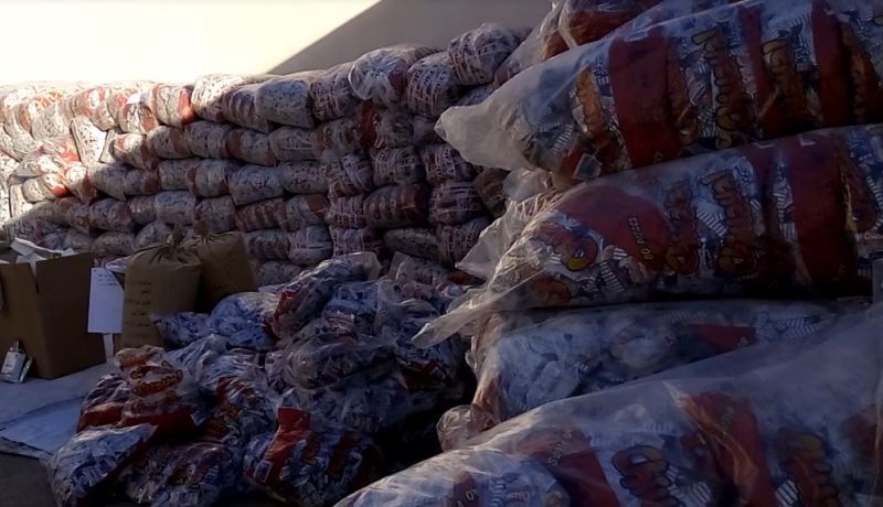 العثور على ورشة سرية لصناعة «زريعة شيواوا» مغشوشة في العلمة بسطيف