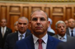 زعلان: ليس لدي أي علاقة بهامل.. وأبناؤه التقيت بهم لأول مرة في السجن