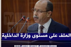 زغماتي: أطراف حاولت إغراق الجزائر بسيارات تحمل وثائق مزورة