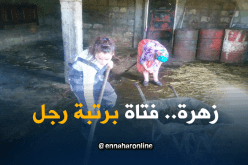 بالفيديو…زهرة في قوة الصراع مع الحياة