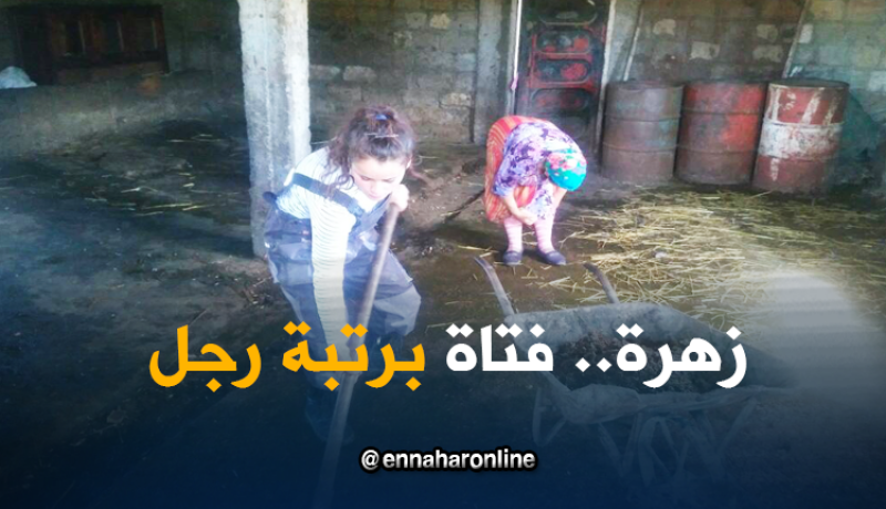 بالفيديو…زهرة في قوة الصراع مع الحياة