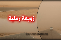 زوبعة رملية غطّت سماء الجلفة