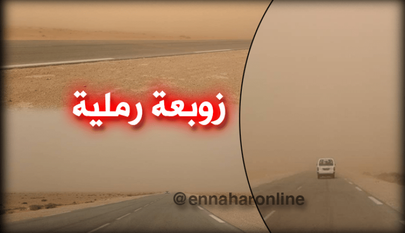 زوبعة رملية غطّت سماء الجلفة