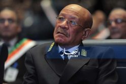 زوخ: لهذه الأسباب منحت ابنة هامل 4 قطع أرضية لبناء فندق