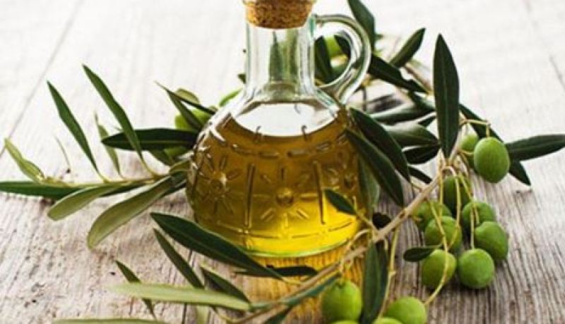 الجزائر تحصد أربع جوائز في المسابقة الدولية الـ 18 لزيوت العالم