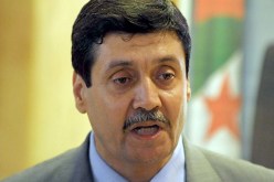 زيتوني :” اول  نوفمبر أبرز حدث في تاريخ كفاحنا البطولي عبر  العصور”