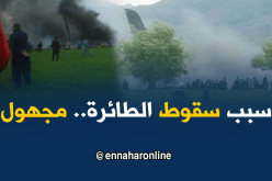 خبير أمني : لم يتم تحديد سبب سقوط الطائرة
