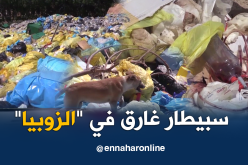 الشيخ النوي..المستشفى الجامعي بوهران كارثة بيئية