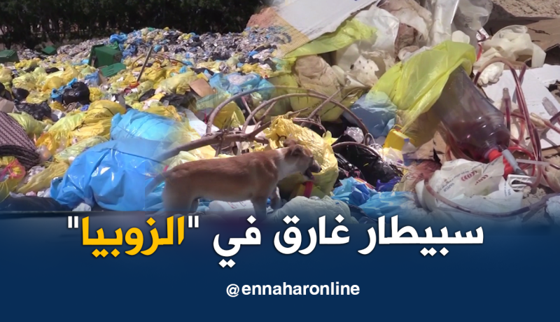 الشيخ النوي..المستشفى الجامعي بوهران كارثة بيئية