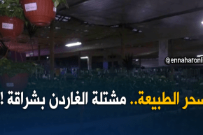 مشتلة الغاردن..مشروع ناجح بأعالي الشراقة !!