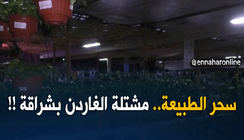 مشتلة الغاردن..مشروع ناجح بأعالي الشراقة !!