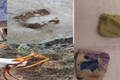 العثور على “حروز” وكتابات تستعمل في الشعوذة بمقبرة في تيارت