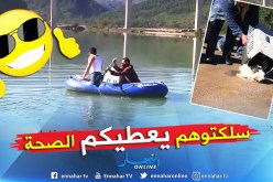 إنقاذ قطتين من الموت بعدما حاصرهما فيضان سد تابلوط بجيجل