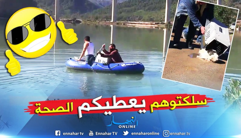 إنقاذ قطتين من الموت بعدما حاصرهما فيضان سد تابلوط بجيجل