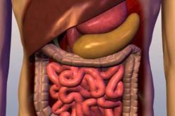 “تشخيص 10 آلاف إصابة بسرطان الجهاز الهضمي سنويا”