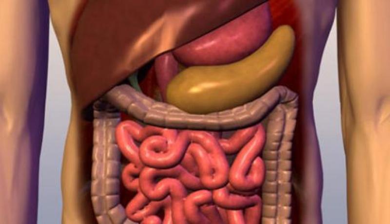 “تشخيص 10 آلاف إصابة بسرطان الجهاز الهضمي سنويا”