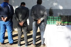 إحباط تهريب نحو 90 كلغ كيف بحوزة 3 مهربين بمسمكة وهران