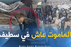 هذه تفاصيل اكتشاف بقايا هيكل عظمي لماموث بسطيف 
