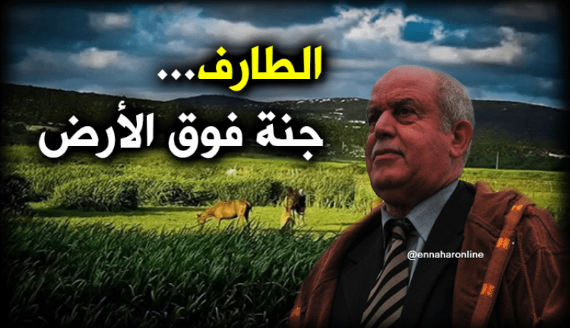 سعدان: ” الطارف ستكون قِبلة للفرق الأوروبية من أجل التحضير”