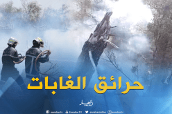 حريق يتلف 5هكتارات من الغطاء الغابي في سعيدة