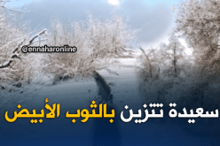 بالفيديو .. سعيدة تكتسي الحلة البيضاء