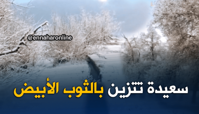 بالفيديو .. سعيدة تكتسي الحلة البيضاء