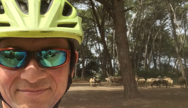 سفير بريطانيا بالجزائر يستمتع بممارسة الرياضة في غابة بوشاوي